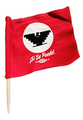 UFW Table Flag 